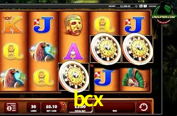 Interface Premium bcx